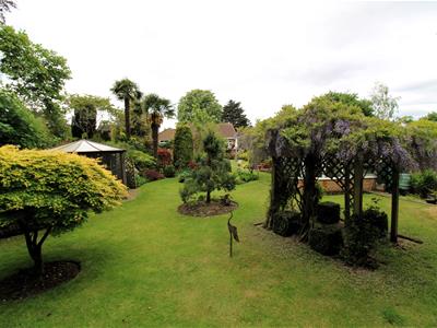 Picture 12